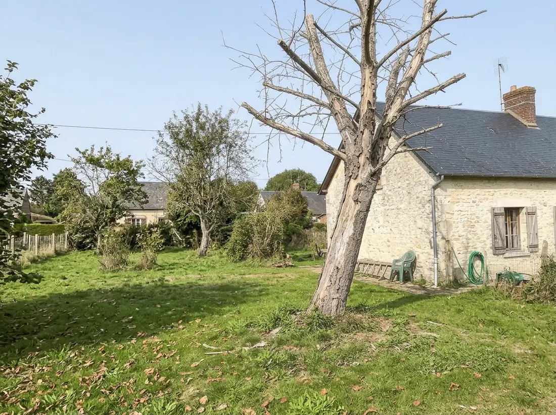 Avant : arbre mort près d'une maison