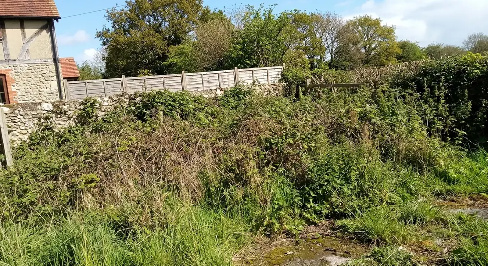 Avant : terrain envahi de ronces et d'herbes hautes