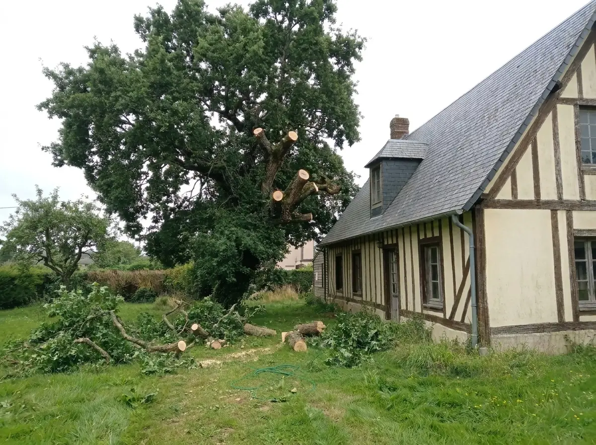 Après : toiture dégagée, branches coupées au sol