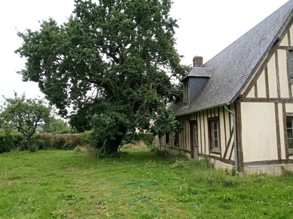 Avant : arbre dont les branches touchent la toiture