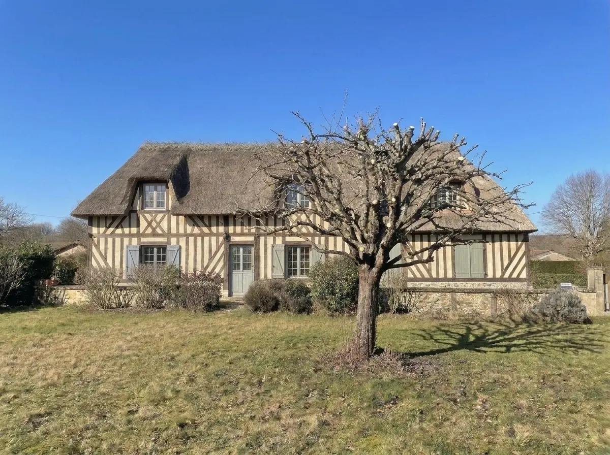 Après : pommier taillé, ramure aérée